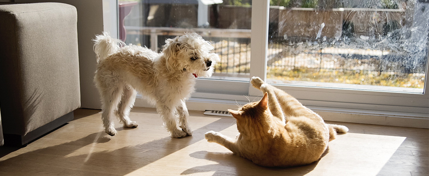 break proof window film