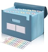 SKYDUE Accordion File Organizer, Expanding File Folder with 13 Pockets, Portable Document Paper B...