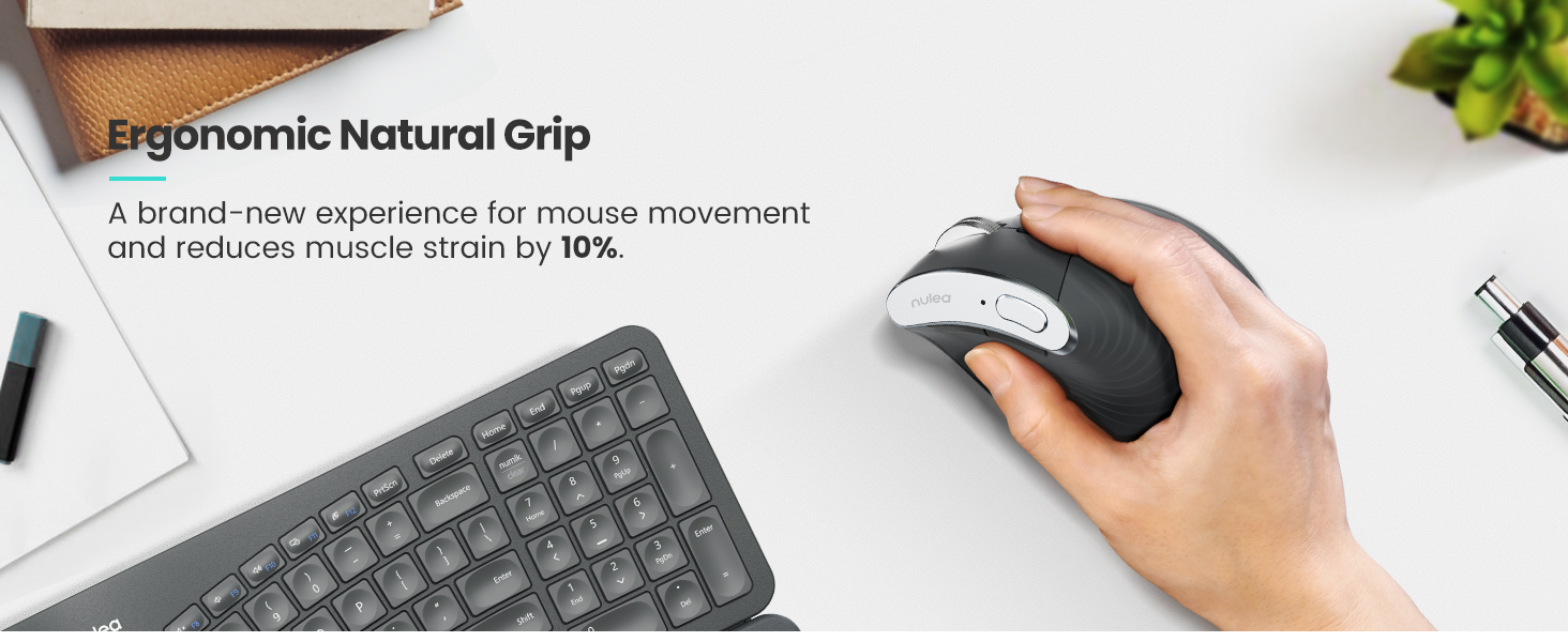 mouse