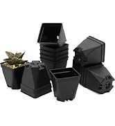 DILIGROW 1.5-Inch Nursery Pots, Thick-Walled PP Plastic, for Home, Office &amp; Garden, Seed Starting...