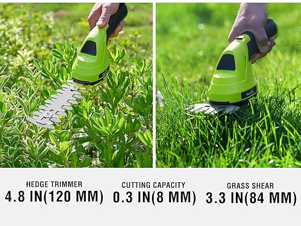 grass trimmer and hedge trimmer