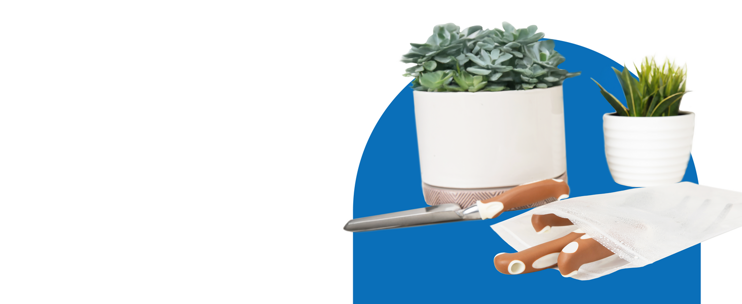 Gardening tools are tucked into a clear bag misted with water droplets, laying near two houseplants.