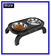 Raised Cat Food and Water Bowl Set, Kitten Small Dog 15° Tilted Elevated Stainless Steel Cat Bowl...