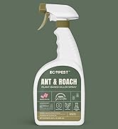roach killer indoor cucaracha traps the best