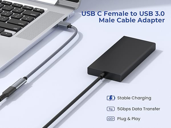 B_USB_M_TO_USBC_F_CABLE_ADAPTER_2P (1)