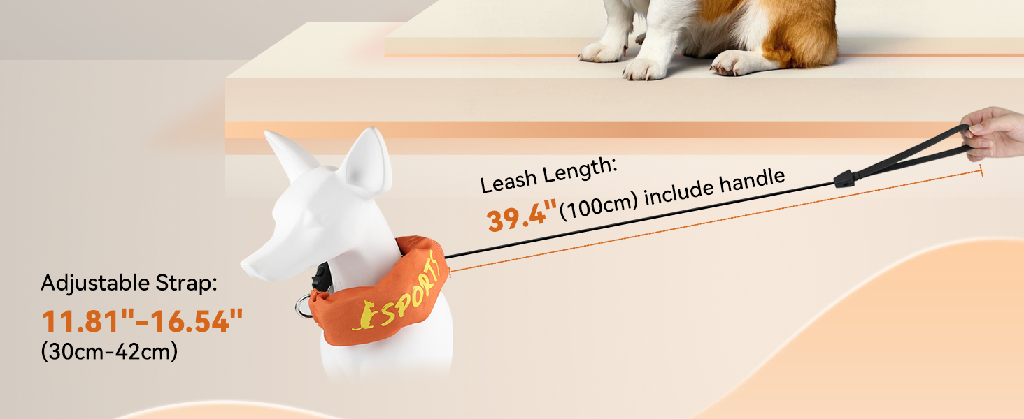 Dog Collar