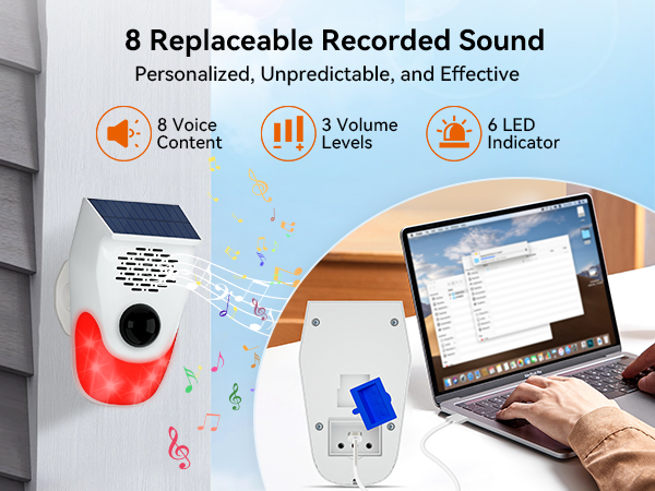 8 Replaceable Recorded Sound