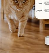 automatic cat feeder