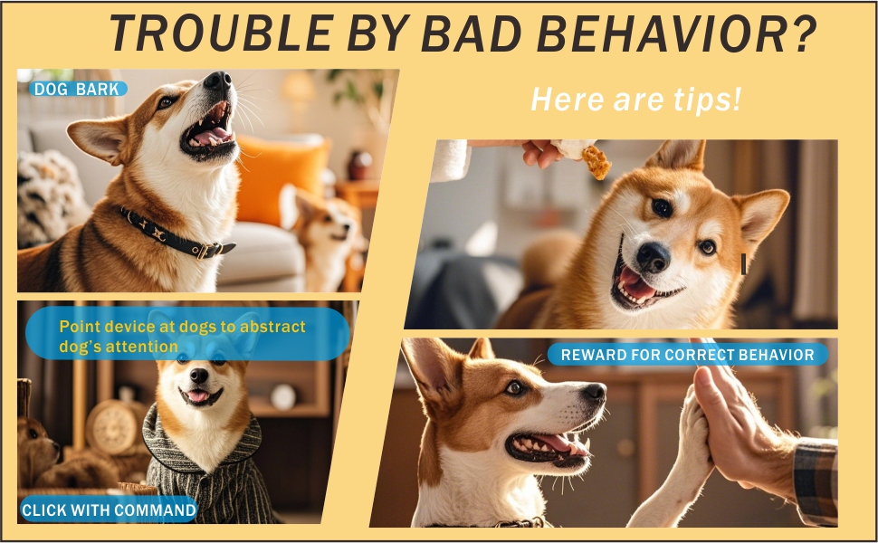 anti barking device for dogs