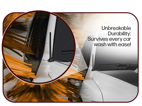 whip rid road rams sports work keychains audio satellites constructed flexibility original trunk