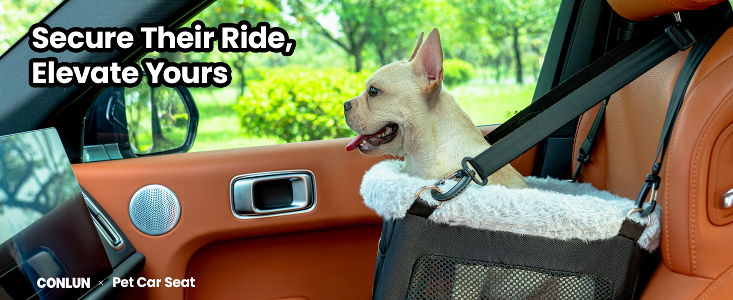 dog beds for cars car seat for cats carseat for dogs small dog booster car seat cat car seats