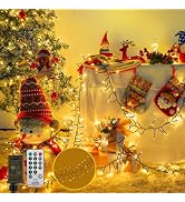 BHCLIGHT 75FT 1500LED Cluster Christmas Lights with Remote, Warm White | 8Modes &amp; Timer, IP44 Wat...