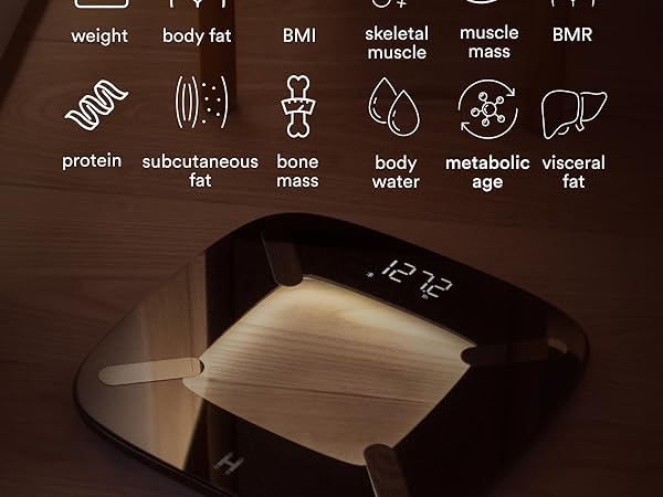Homedics scale