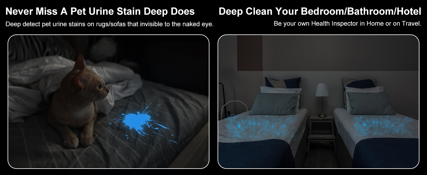 uv flashlight pet urine detector