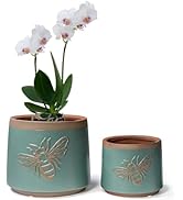 YBX Terracotta Pots with Drainage Holes, Bee Decor, Planter for Indoor Plants, Flower Pots Indoor...