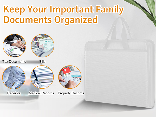 Important Document Organizer