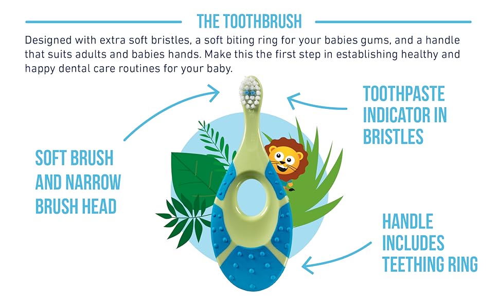 The toothbrush