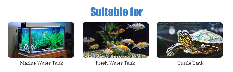 small aqurium heater