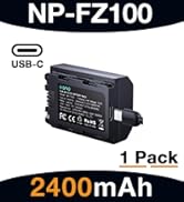 FZ100 battery