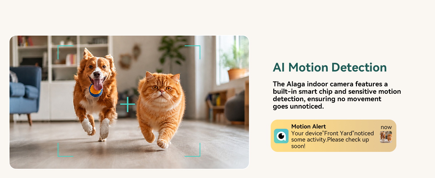 indoor wifi camera