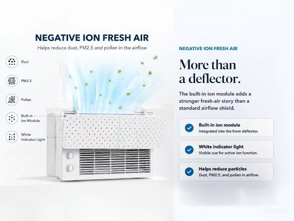 Negative ion fresh air