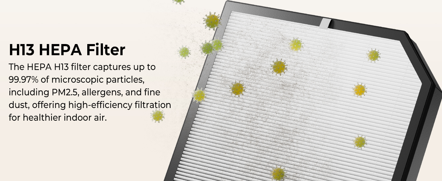 air purifiers