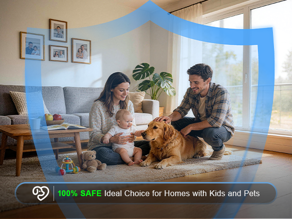 WowCatch Flying Insect Trap