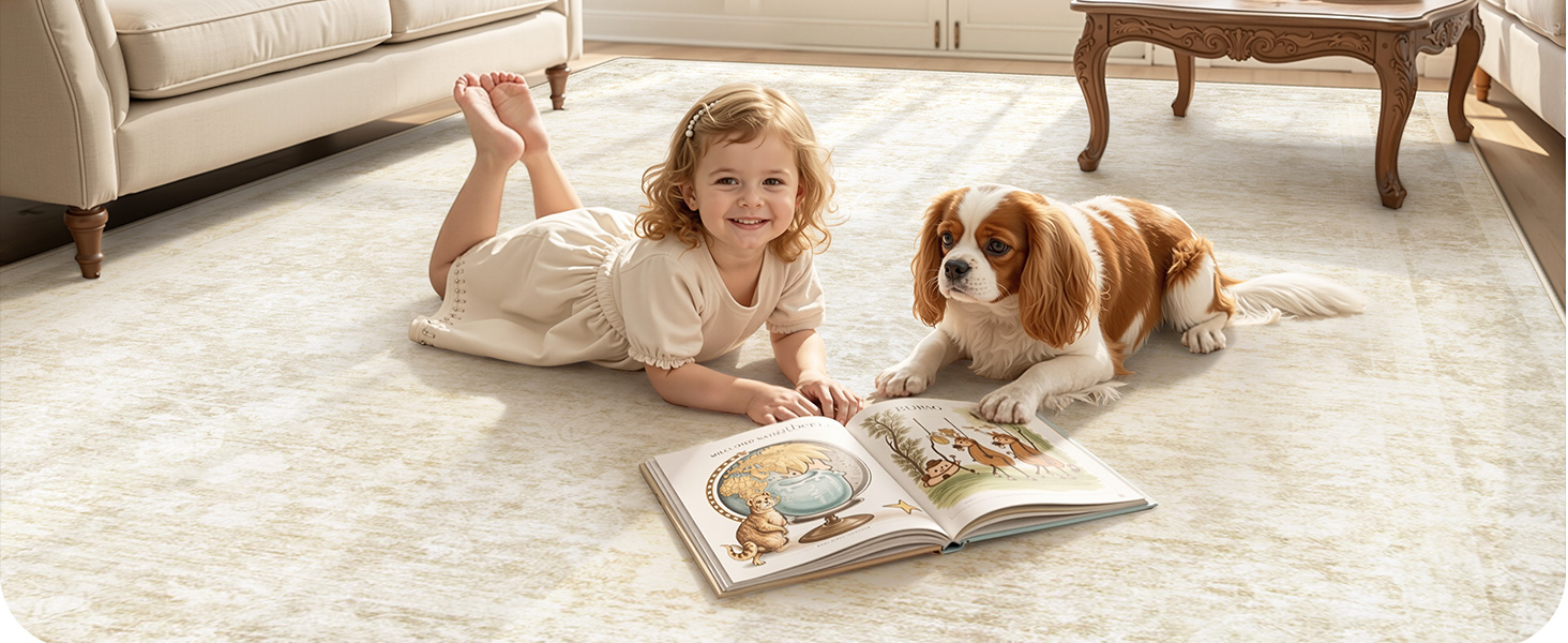 A Kid &amp;amp;amp; Pet Friendly Living Space Rug