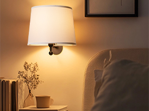 lamp shades set of 2