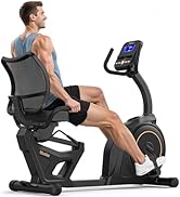 Niceday Recumbent Exercise Bike, Recumbent Bike for Home, Recumbent Stationary Bike 400LBS Weight...