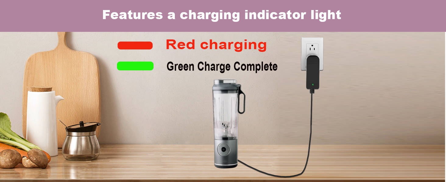 Ninja Blast Max Portable Blender Charger