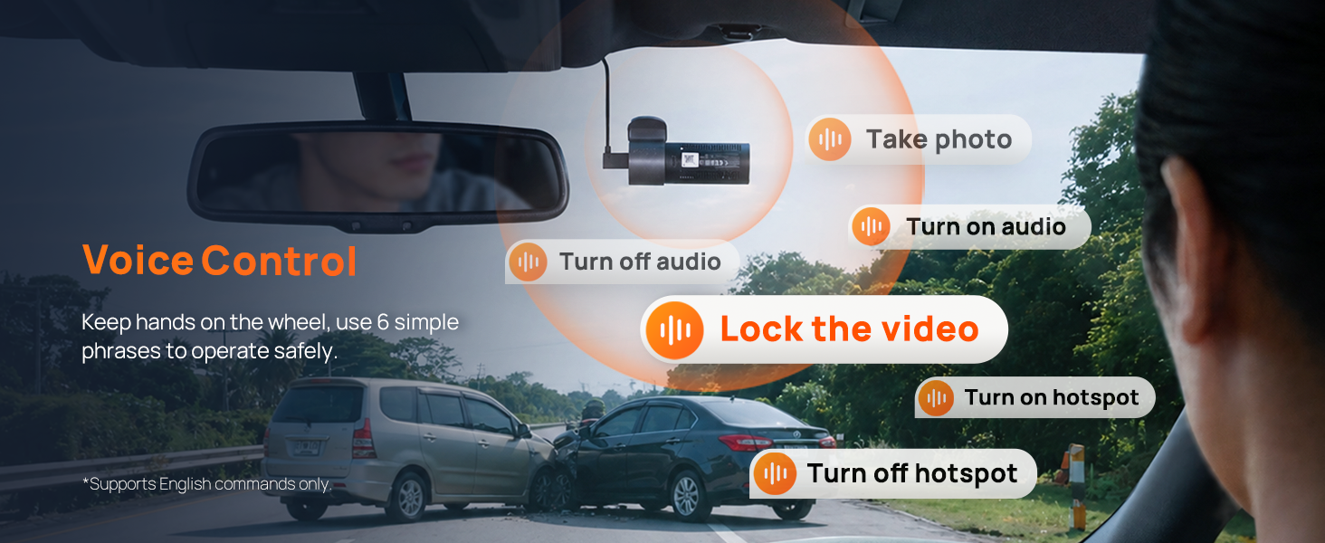 Voice Control