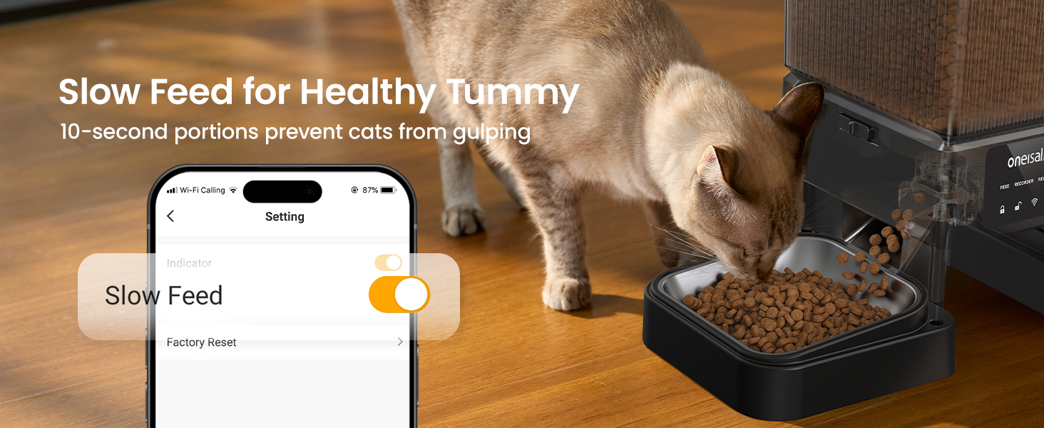 automatic cat feeder