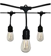 Satco S8020 12-Light 24 Foot Outdoor LED String Light Set, 12 Watts/120 Volts, 2700K, 1200 Lumens...