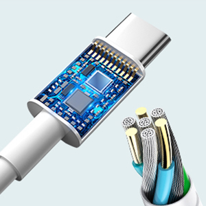 E-mark chip