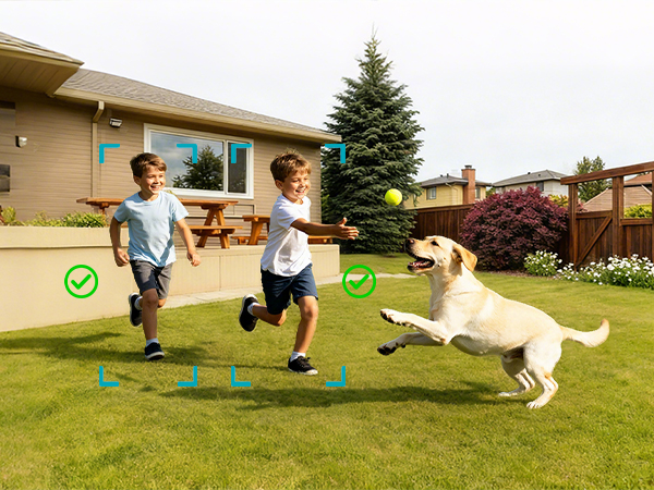 Sequence of outdoor action shots showing a frisbee flying and a white dog chasing and catching it on a sunny lawn against house backdrop.