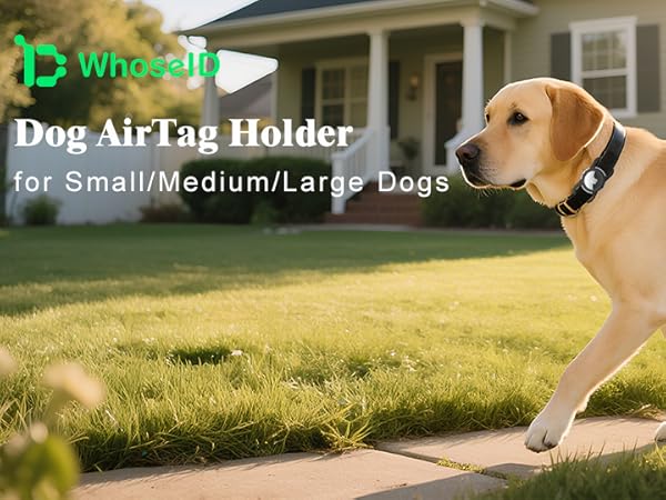 airtag watch dog collar holder