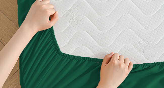 SWBDS01-GREEN- 650X350