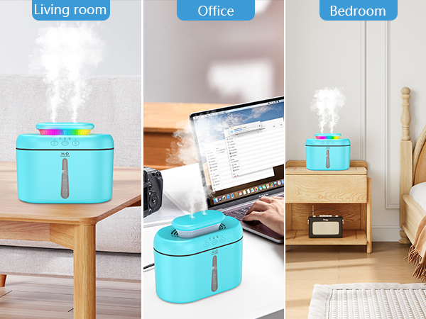 Humidifier for Plants