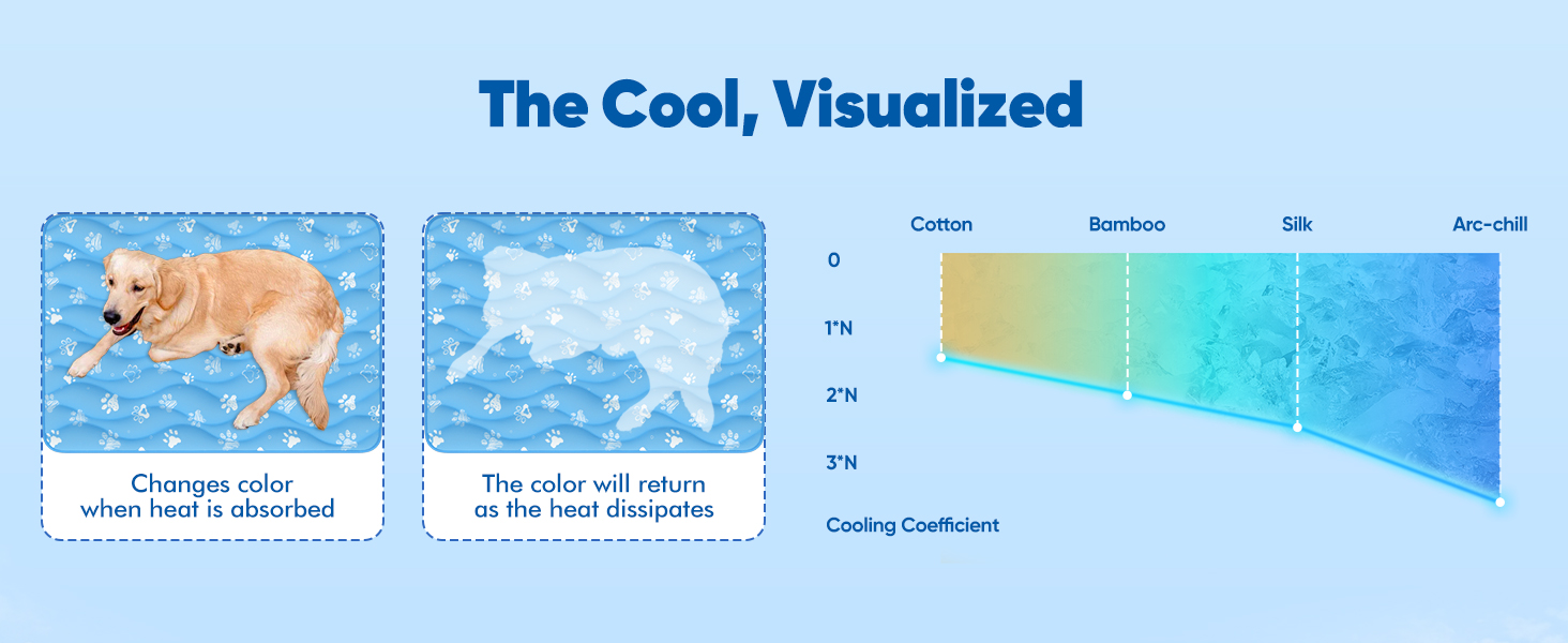 Playful Color Magic: Watch Where Your Pet Feels the Cool