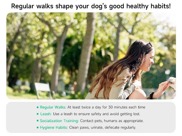 Dog Feeding Reminder, Magnetic Reminder Sticker, AM/PM Daily Indication Chart Feed/Walk Your Pets