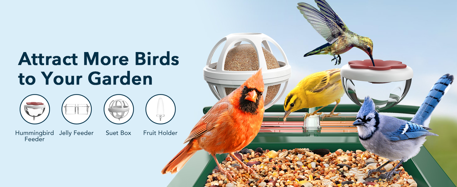 ai bird feeder with camera solar powered