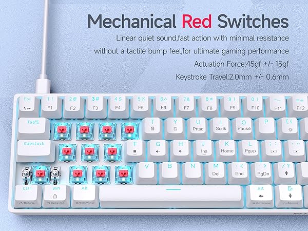 DK61SE- Red Switch