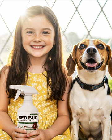 bed bug sprayer bed bug killer bed bug repellent pest sprayer insects sprayer lice repellent