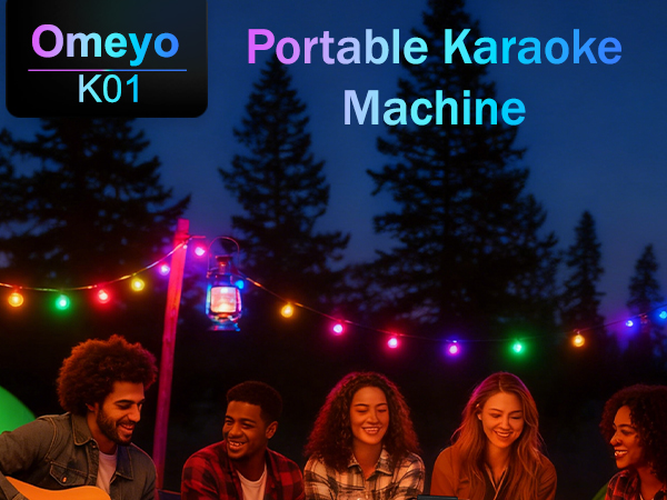 karaoke machine for adults