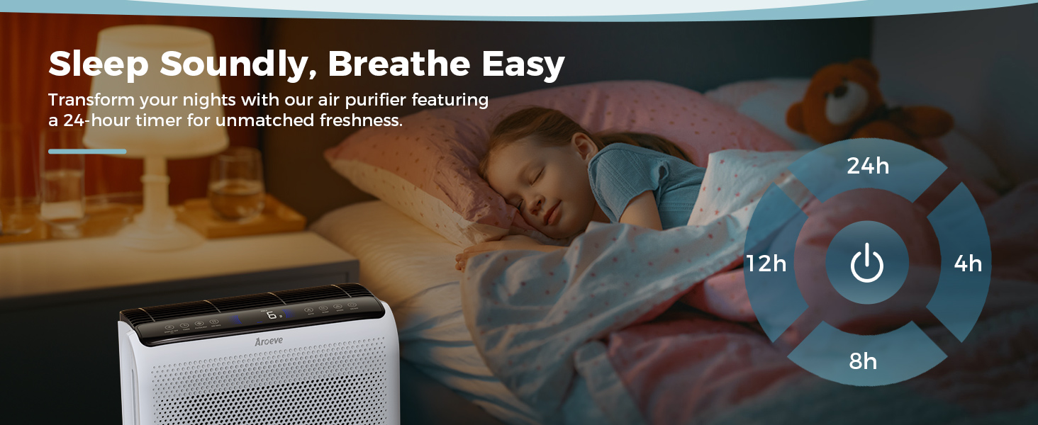 air purifier with 24h timer