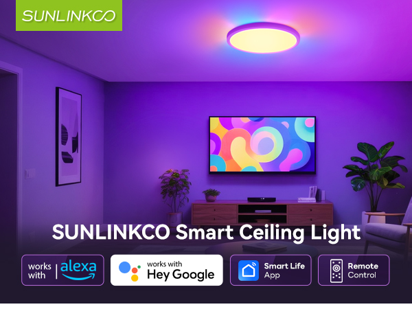 flush mount ceiling light