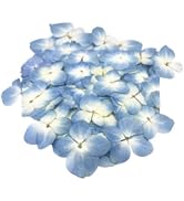 12Pcs Blue Preserved Dried Flowers Plant,Wide Applications Dried Pressed Flowers and Leaves, Pres...