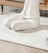 HAUSHOF Handheld Carpet Cleaner, 12V Cordless Portable Carpet Cleaner, 6.5KPa Spot Cleaner with 2...