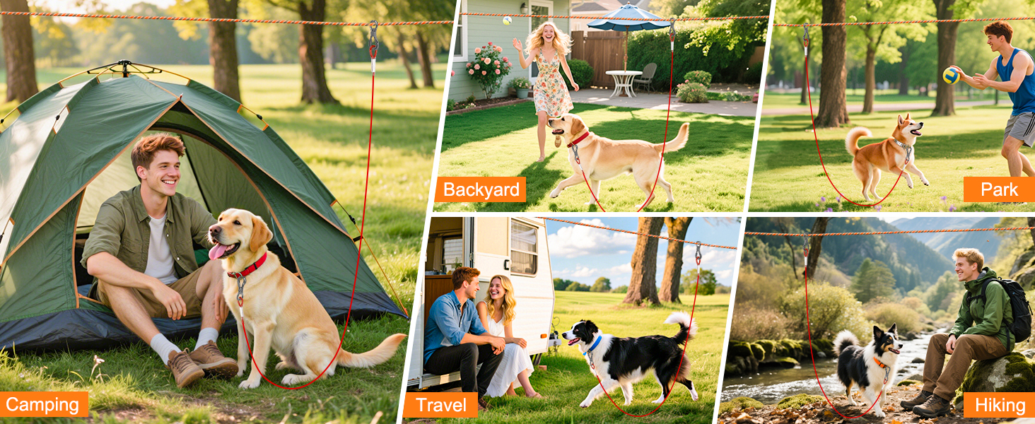 dog camping 